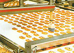 PU Conveyor Belts | We supply Drive Belts, Conveyor Belts, Synchroflex Timing Belts, V-Belts, V-Ribbed Belts, Flat Belts, Broad Section V-Belts, etc. for all kinds of machineries. Call us for best quality industrial beltings with reasonable rates.