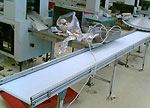 PVC Conveyor Belts | We supply Drive Belts, Conveyor Belts, Synchroflex Timing Belts, V-Belts, V-Ribbed Belts, Flat Belts, Broad Section V-Belts, etc. for all kinds of machineries. Call us for best quality industrial beltings with reasonable rates.